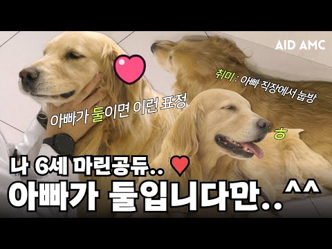 집 아빠 한 명, 밖 아빠 한 명! 아빠 풀세트라 불안할 틈이 없어요 ^^