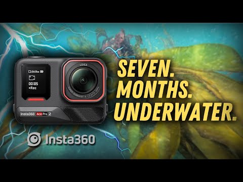 Insta360 Ace Pro 2 Long Term Review (Underwater) - Strengths & Weaknesses | PNW Samson