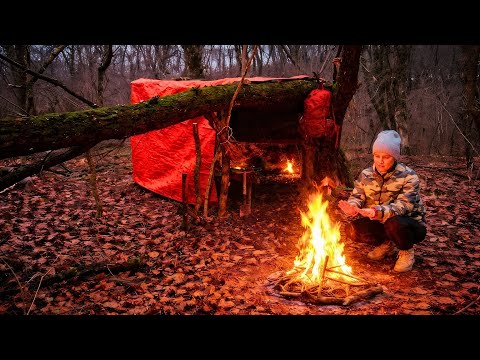 Building a Warm & Cozy Survival Shelter by a Fallen Tree | Solo Bushcraft Girl