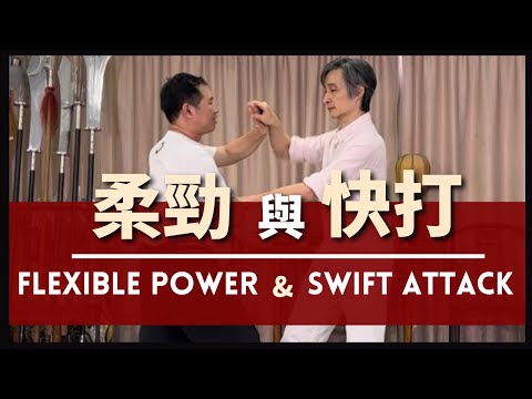 Flexible Power & Swift Attack 柔勁 與 快打