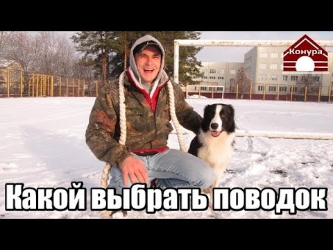 188. Поводок, как правильно работать поводком, какой выбрать поводок