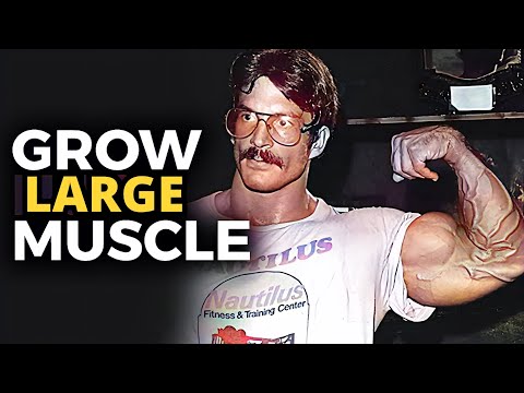 Mike Mentzer Minimalism HIT Workout To Build Muscle Fast!