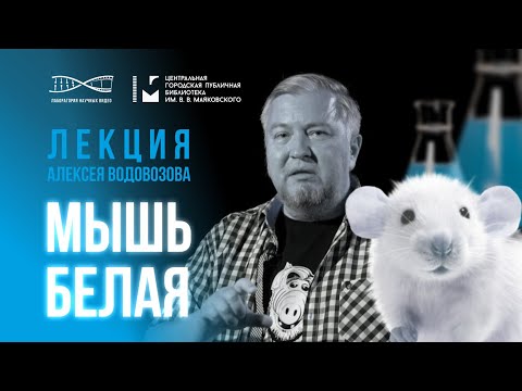 Мышь белая. Лекция Алексея Водовозова