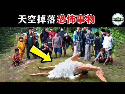若非相机拍到真难以置信！10个天上掉落的恐怖事物，一只天使被人类捕获！丨地球之最#冷知识 #排名 #世界之最#陨石#ufo#世界之最top#top10#出类拔萃#惊人发现#难以置信 #外星人