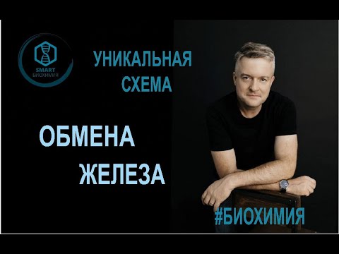 Биохимия: Обмен железа