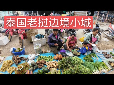 看看金三角 泰国老挝的边境小城会晒 农贸市场有什么狠货！【小邓带你玩泰国】