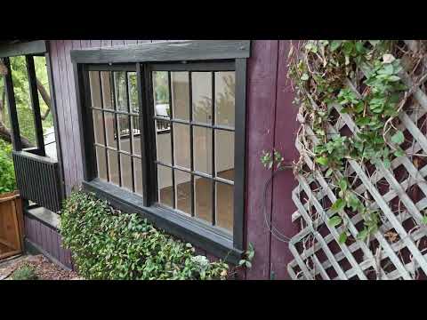 338 CraneTwilight Video