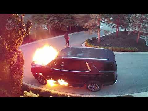 Appeal for Witnesses After Vehicle Set Ablaze and Shot in Vaughan