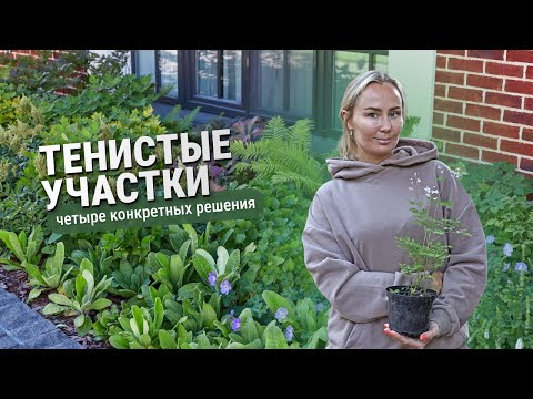 Тенистые участки. Четыре конкретных примера.