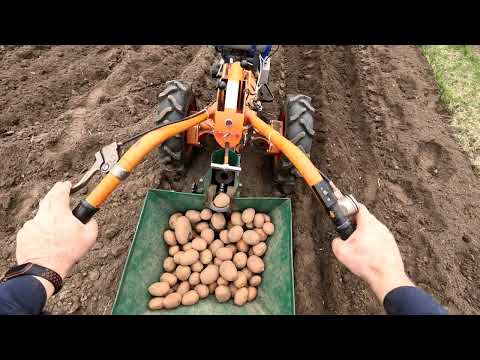 Картофелесажалка к мотоблоку  Первое использование после доработки