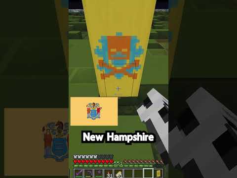 I Made Every State USA Flag in Minecraft Survival  #minecraft #survival #foundinmn