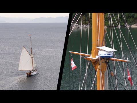 Starlink VS Radar - a controversial installation!