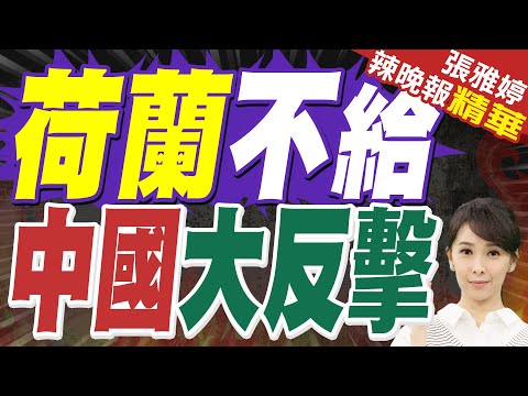 荷蘭不給晶圓 聞泰科技警告有新招｜荷蘭不給 中國大反擊｜介文汲、栗正傑、謝寒冰深度剖析？【張雅婷辣晚報】精華版 @中天新聞CtiNews
