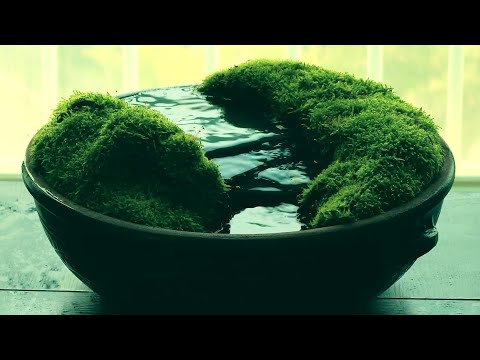 How to make a stream in pottery 💧 terrarium | paludarium | DIY