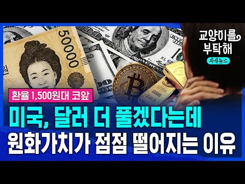 [지식뉴스] 미국, 달러 더 풀겠다는데...원화가치가 점점 떨어지는 진짜 이유 (ft.김명실 iM증권 연구위원) / 교양이를 부탁해