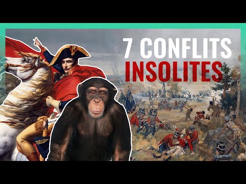 7 Conflits TOTALEMENT  absurdes !