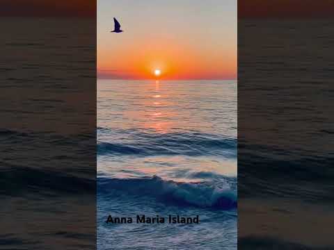 #annamariaisland #beach #sunset #florida #shorts #youtubeshorts #yoloswag