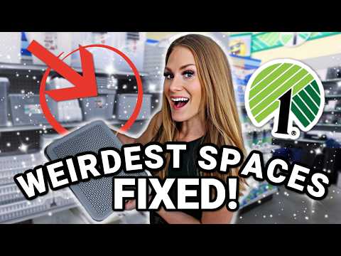 🔥 FAST DOLLAR TREE ORGANIZATION for your home's TOUGHEST spaces! 💪