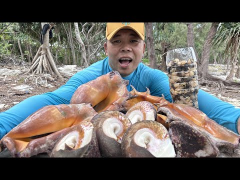 和ok哥赶海，挖点管螺，捕点蜘蛛螺和塔螺，做一道巅峰版的螺蛳粉