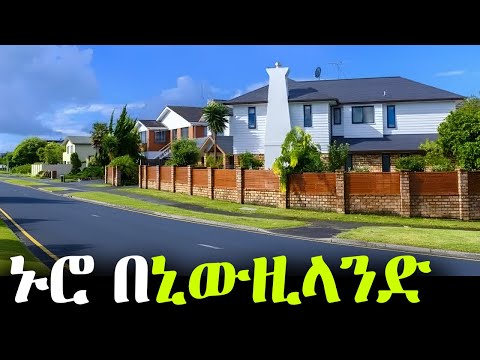 ተወዳጇ ሀገር ኒውዚላንድ