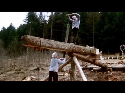 The Lost Art of Sawing Oak Logs (Traditional Diel Method)