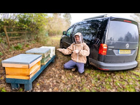 I moved house 200km away with my bee hives