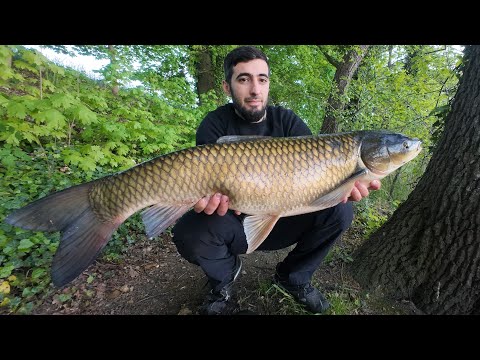 Поймал рыбу мечты, мой первый АМУР..Чуть удочку не сломал