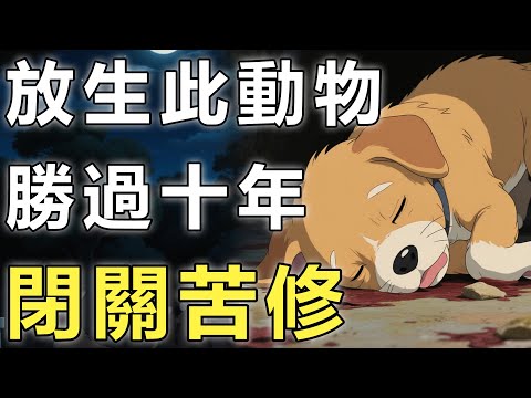 放生此物勝過十年功德？文殊菩薩僅用一個動作，說明動物與人因果！【寵物|動物|因果】