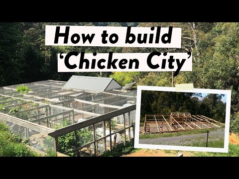 Ultimate Chicken Coop Build: Answering Your Questions on Design, Roofing & Predator Proofing!