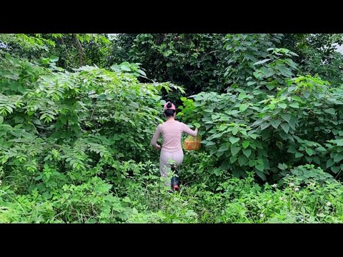 Neighbors Rejoice as We Clean Up House Abandoned for Over 30 Years That Has Dangerous Snakes