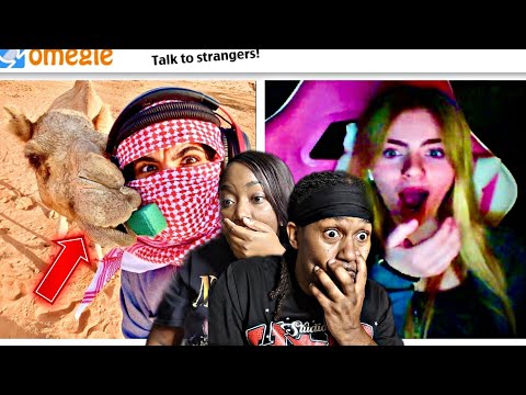 Omegle... But I'm with my camel | MaskedArab REACTION!!😂