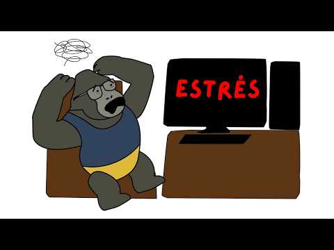 STOP WORRYING (about absolutely everything)