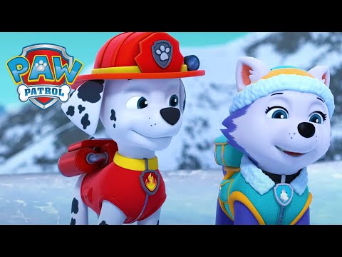 O expediție polară! ❄️ - PAW Patrol - Desene animate pentru copii