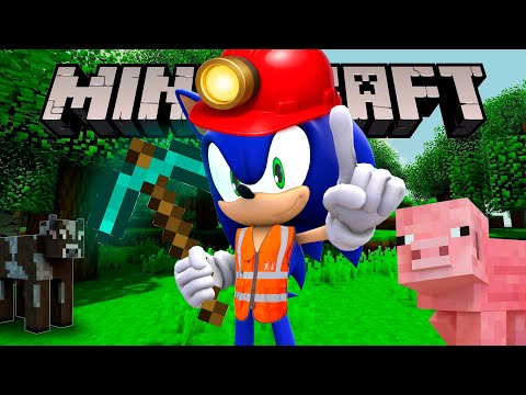 Sonic Plays - MINECRAFT!! Became a Super Builder??
