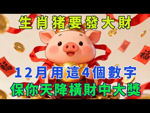 生肖豬要發大財，12月用這4個數字，保你天降橫財中大獎。【生肖吉運坊】#生肖 #命理 #運勢 #屬相 #風水