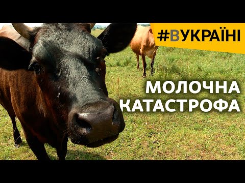 Молочна катастрофа | #ВУКРАЇНІ