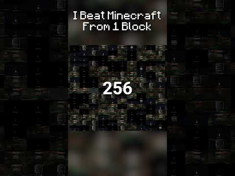 Part 4. I Beat Minecraft From 1 Block