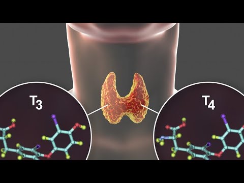 ГОРМОНДАР БИОХИМИЯСЫ | ЦАМФ | Т3,Т4 | ИНСУЛИН ГОРМОНДАРЫ