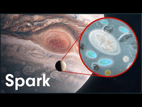 Could There Be Alien Life On Jupiter’s Moons? | The New Frontier | Spark