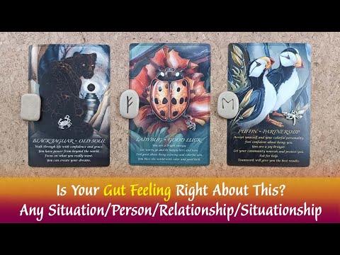 Is Your Gut Feeling Right About This🤔🤷‍♀️👍Any Situation/Person/Relationship👍Timeless Reading