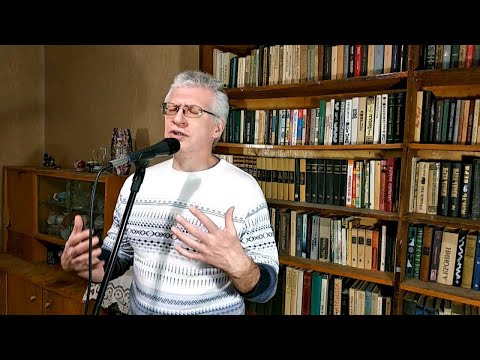 Istedim (cover Roza Zergerli) - Сергей Дворцевой