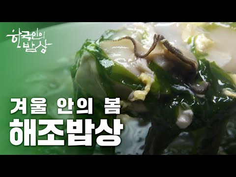 [한국인의밥상] [풀영상] 겨울 안에 봄, 해조 밥상 #완도바다
