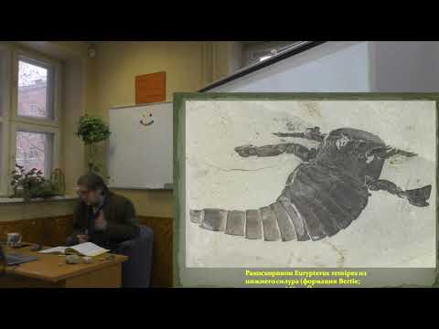 Силурийский период. Вперёд - на сушу!