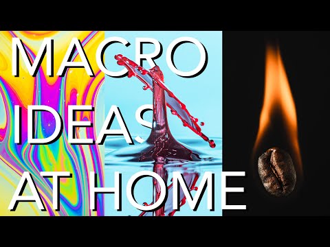 11 AMAZING Macro Photo Ideas to Try At Home