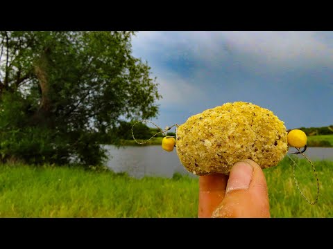 Рибалка в ГРОЗУ на Товстолоба + РЕЦЕПТ Топової Каші для пружини