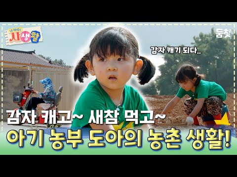 감자 캐고~ 새참 먹고~ 아기 농부 도아의 농촌 생활!｜ [#내아이의사생활 EP.33] #둠칫