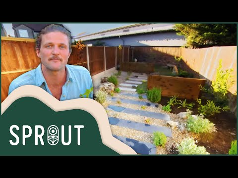 Expert Tips for Eco-Friendly Backyards | Sprout - Gardening Channel