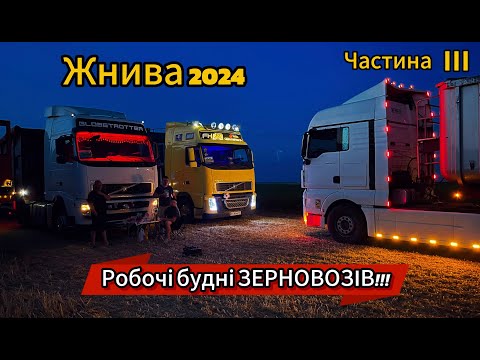 Harvest 2024 has begun. The hot work of grain trucks in the Khmelnytskyi region of MHP Ridny-Kray...