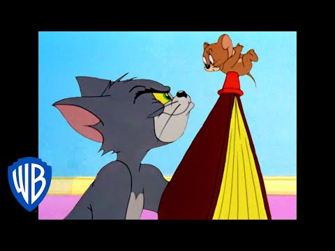 Tom y Jerry en Latino | Siempre Responsables de lo Malo | WB Kids