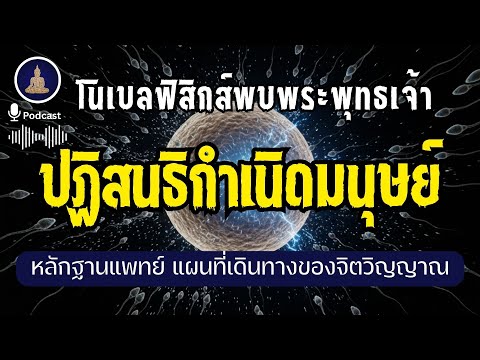 กำเนิดจักรวาล กำเนิดมนุษย์ การปฏิสนธิทางพุทธ I #นะโมพุทธายะ